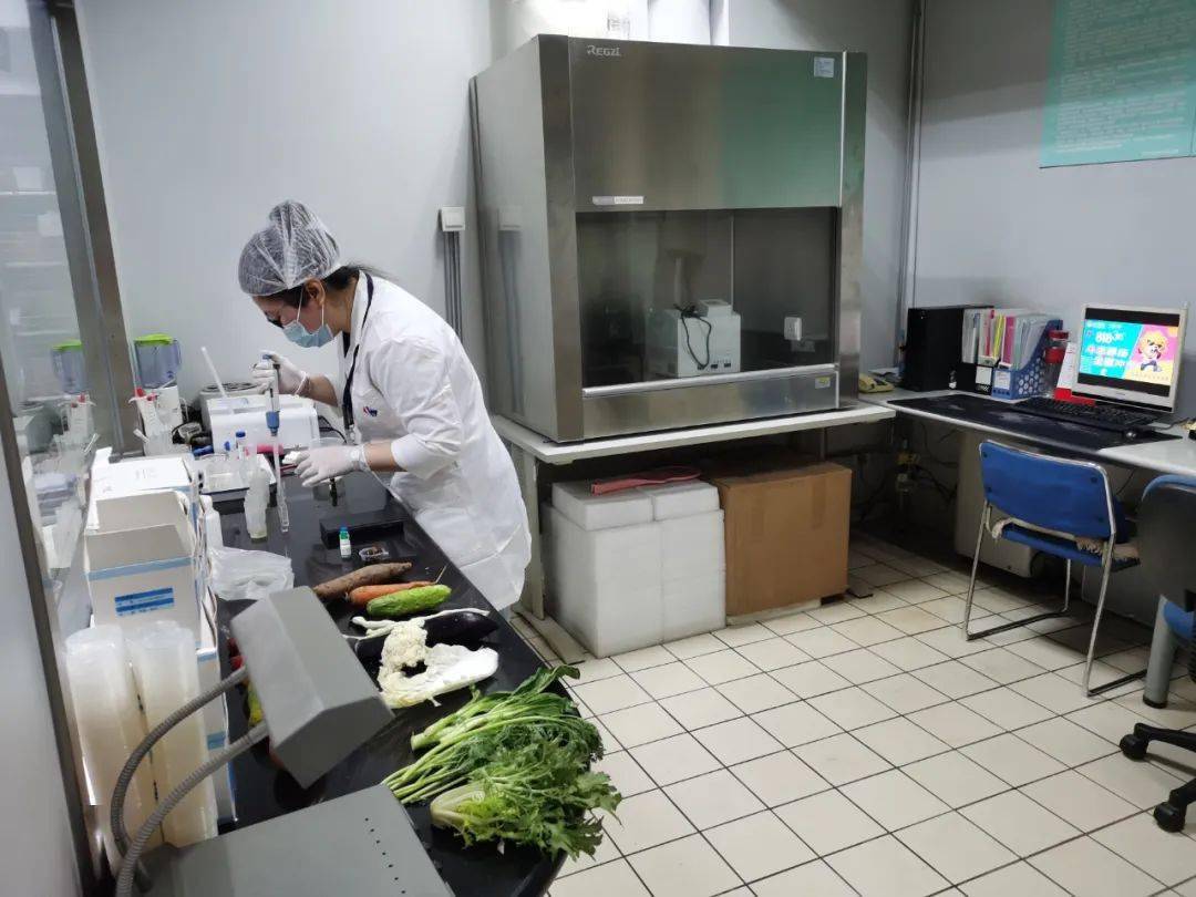 谷城食品检测实验室装修方案